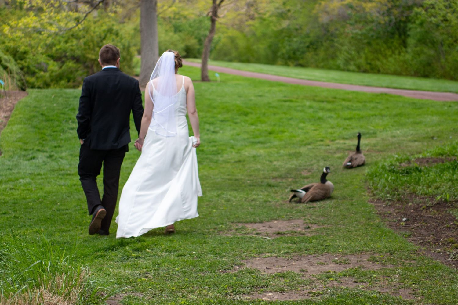 A couple walks hand in hand down a wooded trail in formal wedding attire during a spring day.