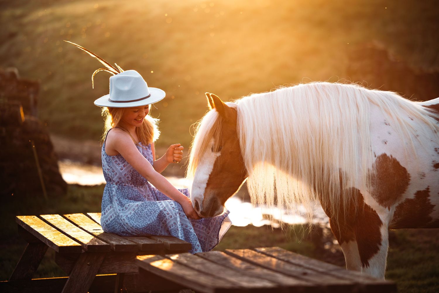 White horse and photographer share quiet moment at sunset by wooden fence.