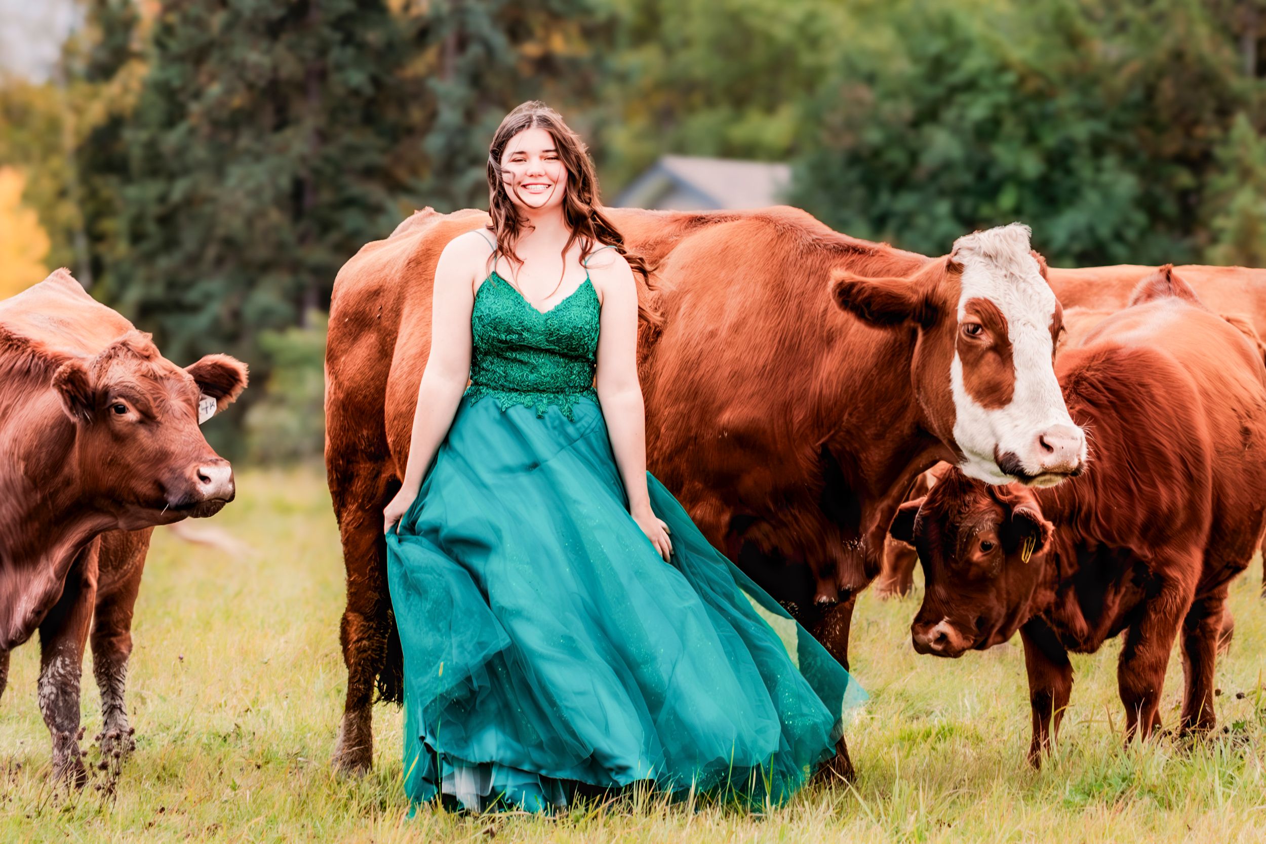 A person in a flowing emerald green dress stands gracefully in a field with brown cows grazing nearby.