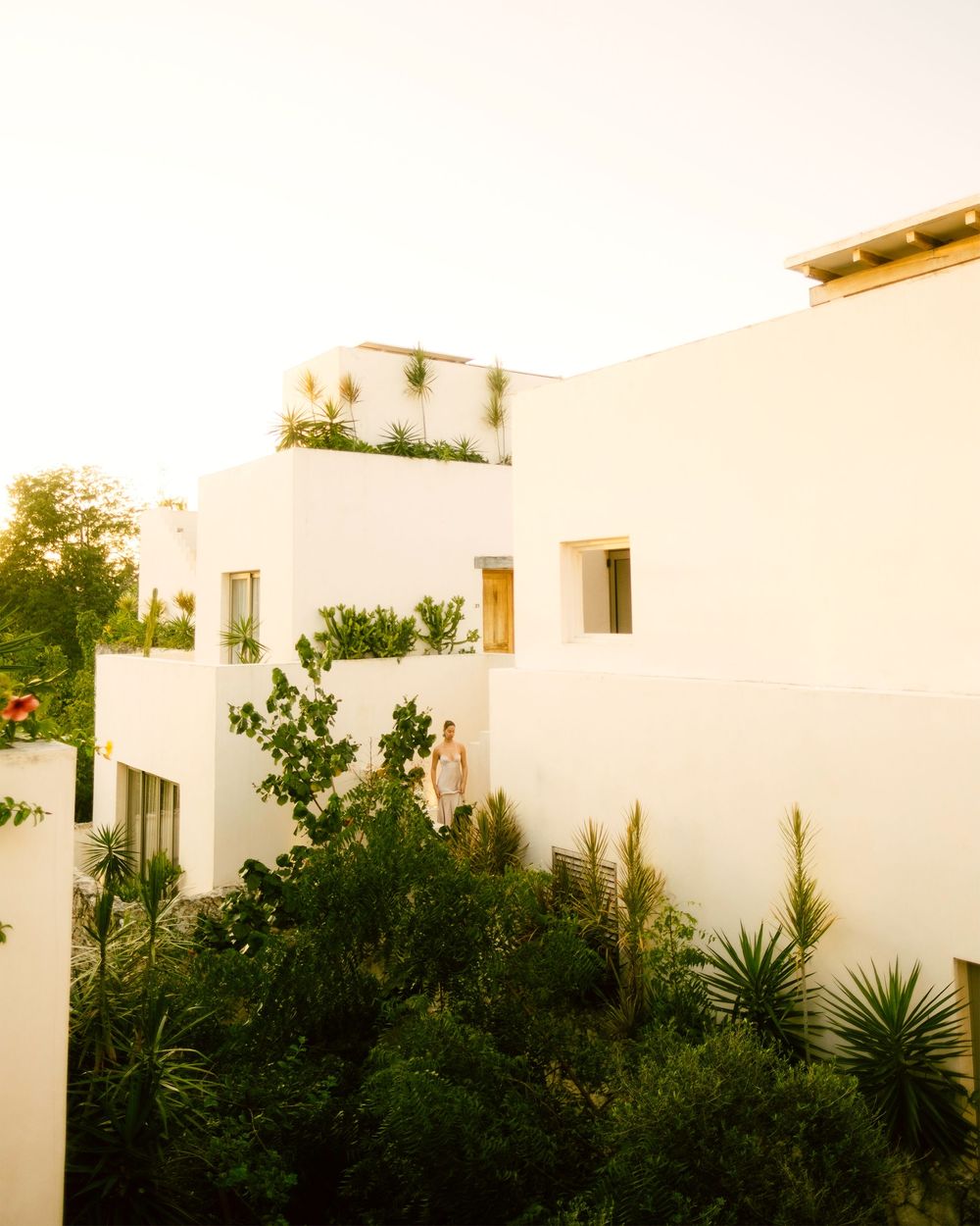 Modern white stucco building with Mediterranean architecture and lush tropical landscaping, illuminated by warm sunset lighting.
Tulum Style