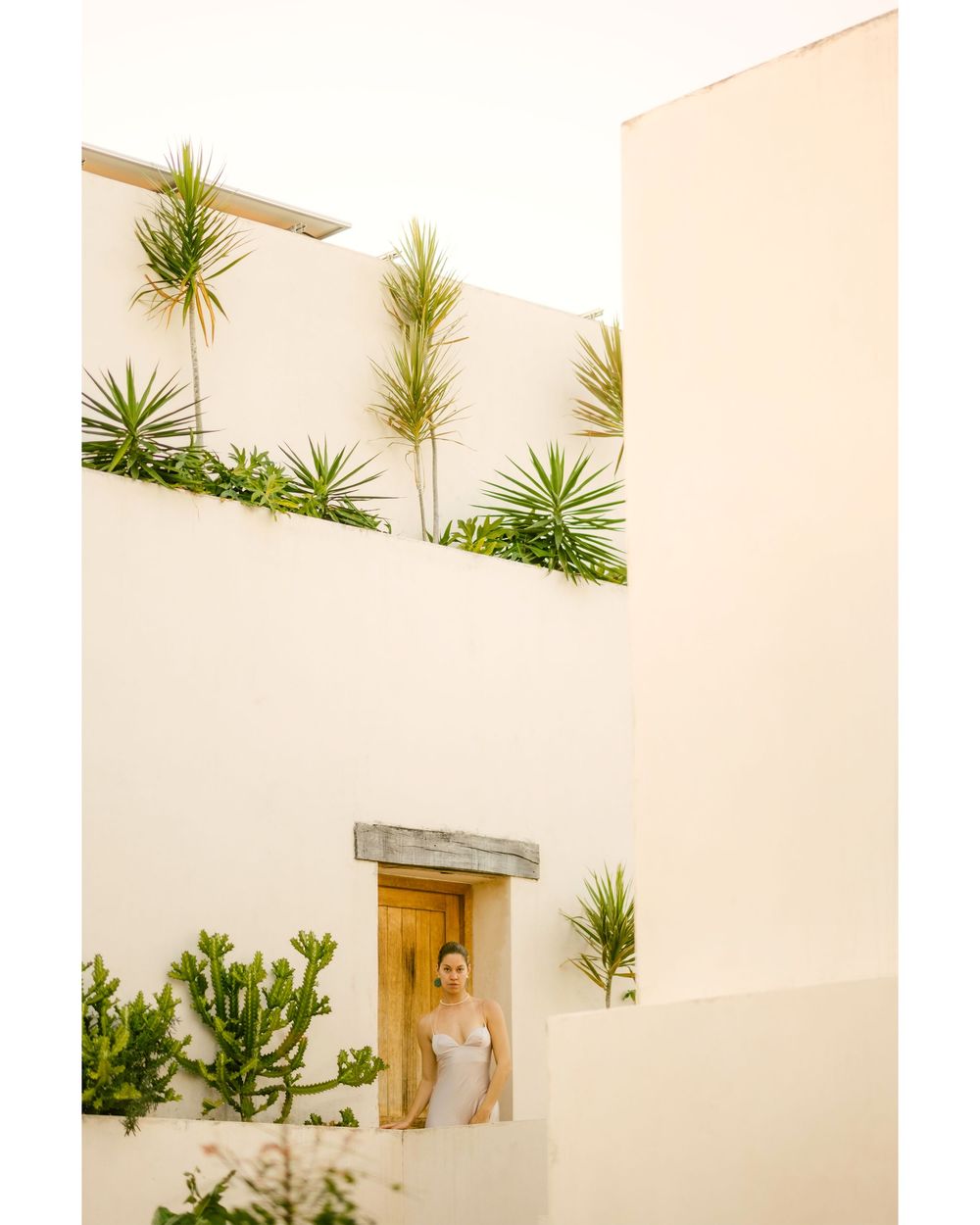 Modern minimalist wedding venue interior with white walls, architectural details and tropical plants in built-in planters.