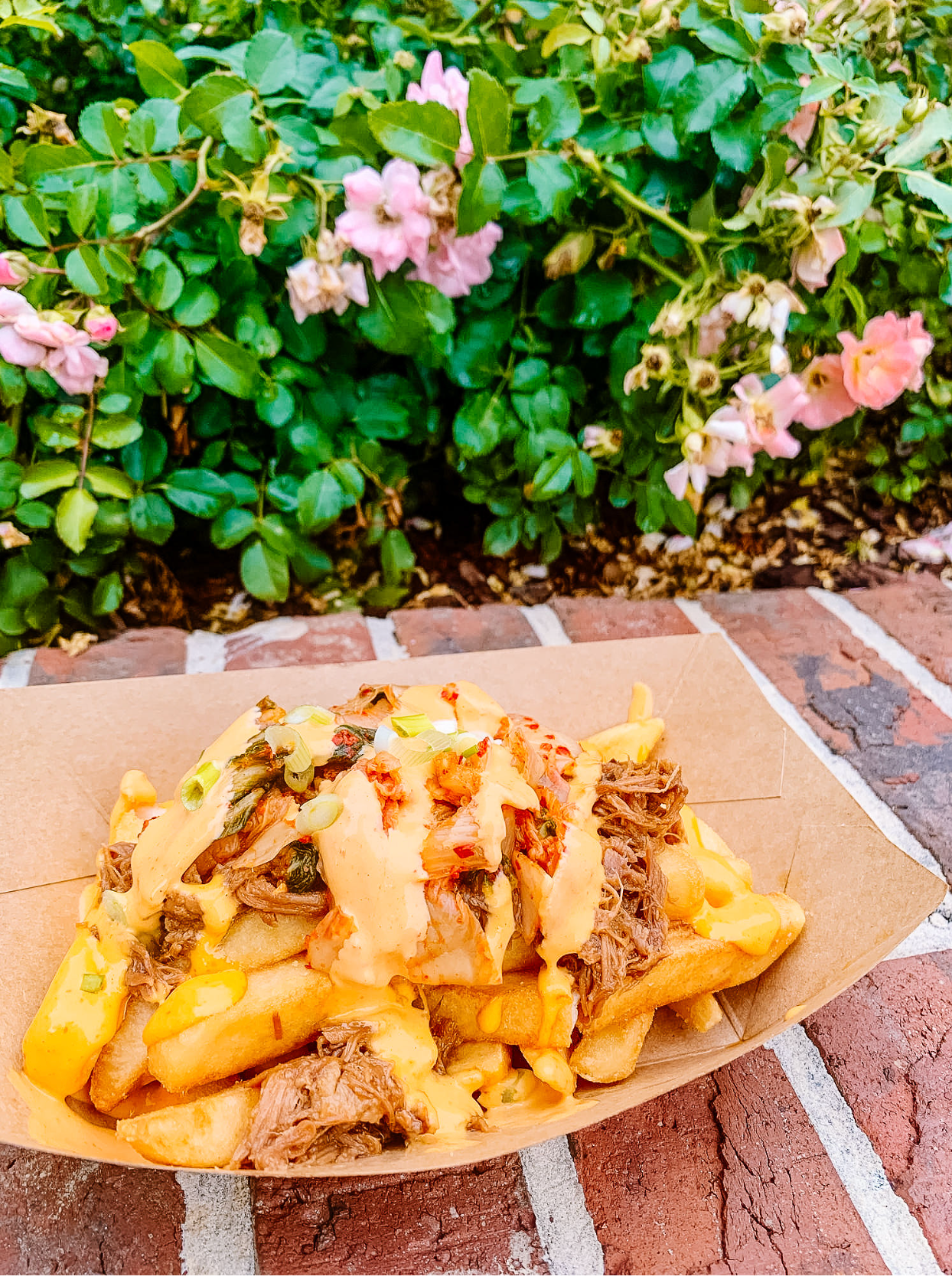 Golden crispy french fries topped with melted cheese and savory pulled pork served on a rustic brick surface.
