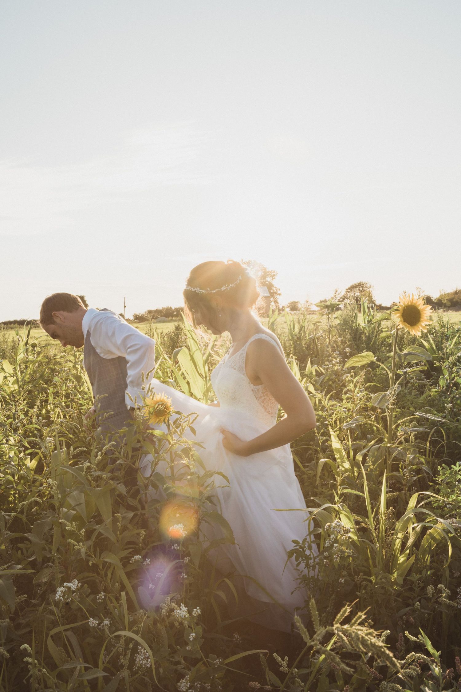 A couple explores a sunlit field of tall sunflowers during a romantic summer wedding picture at Healy Events, Nova Scotia