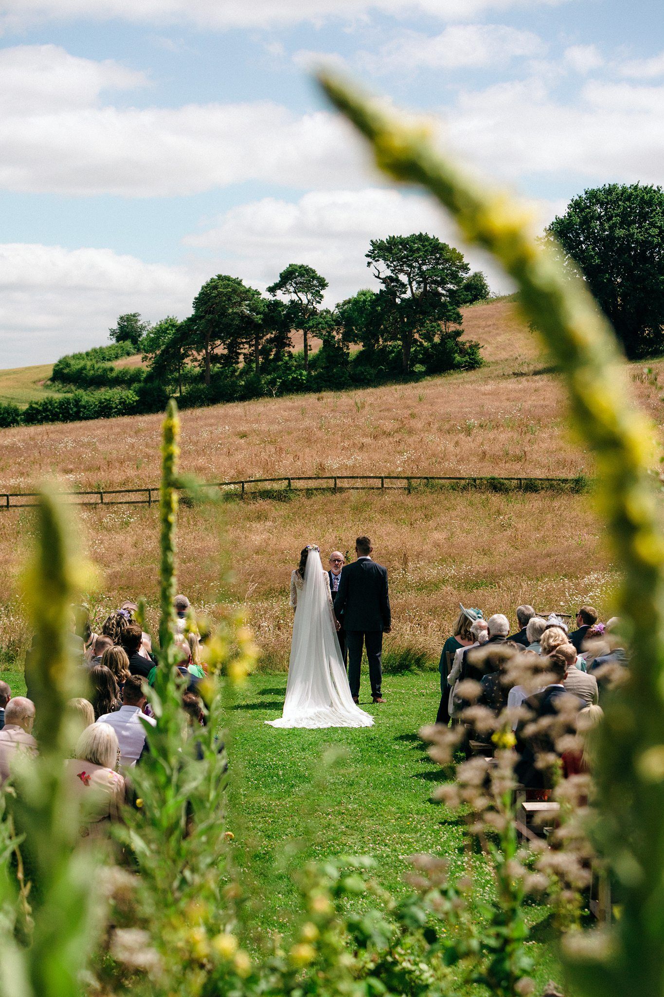 Outdoor countryside wedding ceremony on a grassy hill with stone walls and yellow wildflowers in the foreground near Kentville Nova Scotia.