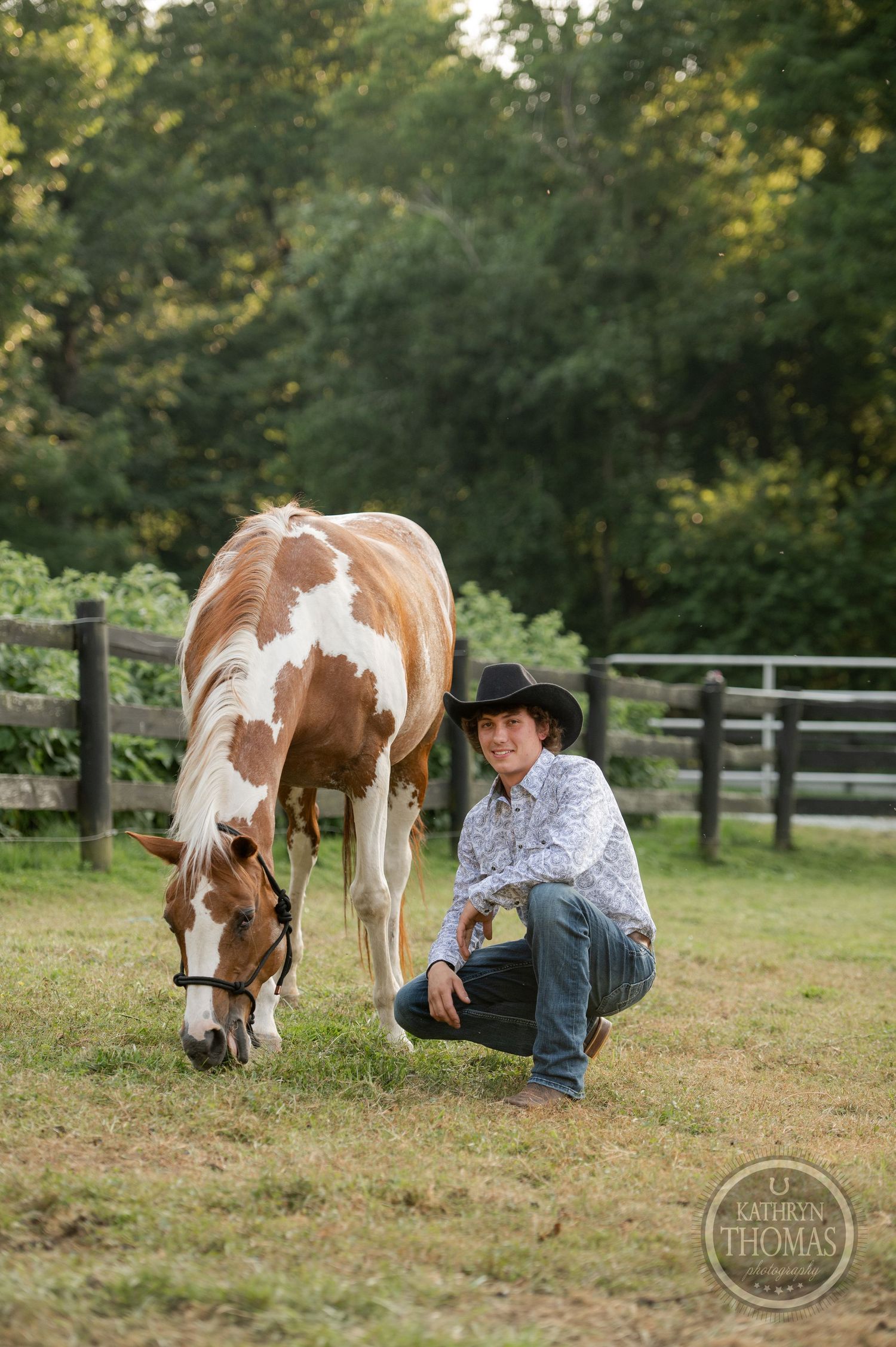 Paint horse grazing while being supervised in a fenced pasture during golden hour.