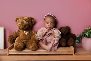 A collection of teddy bears and plush toys arranged on wooden shelves against a pink wall.