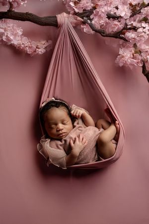 Sleeping newborn baby in pink fabric sling with cherry blossoms overhead creating dreamy spring nursery scene.