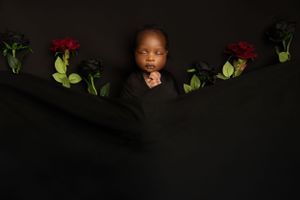 A dramatic portrait against a black background with red roses and green leaves as decorative elements.