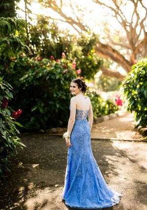 Back view of blue lace evening gown in sunlit garden setting.