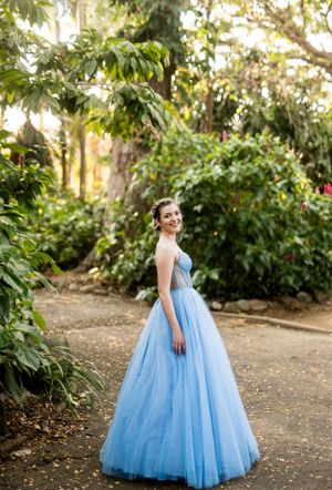An elegant blue tulle ballgown with a fitted bodice captured in a scenic outdoor garden setting.