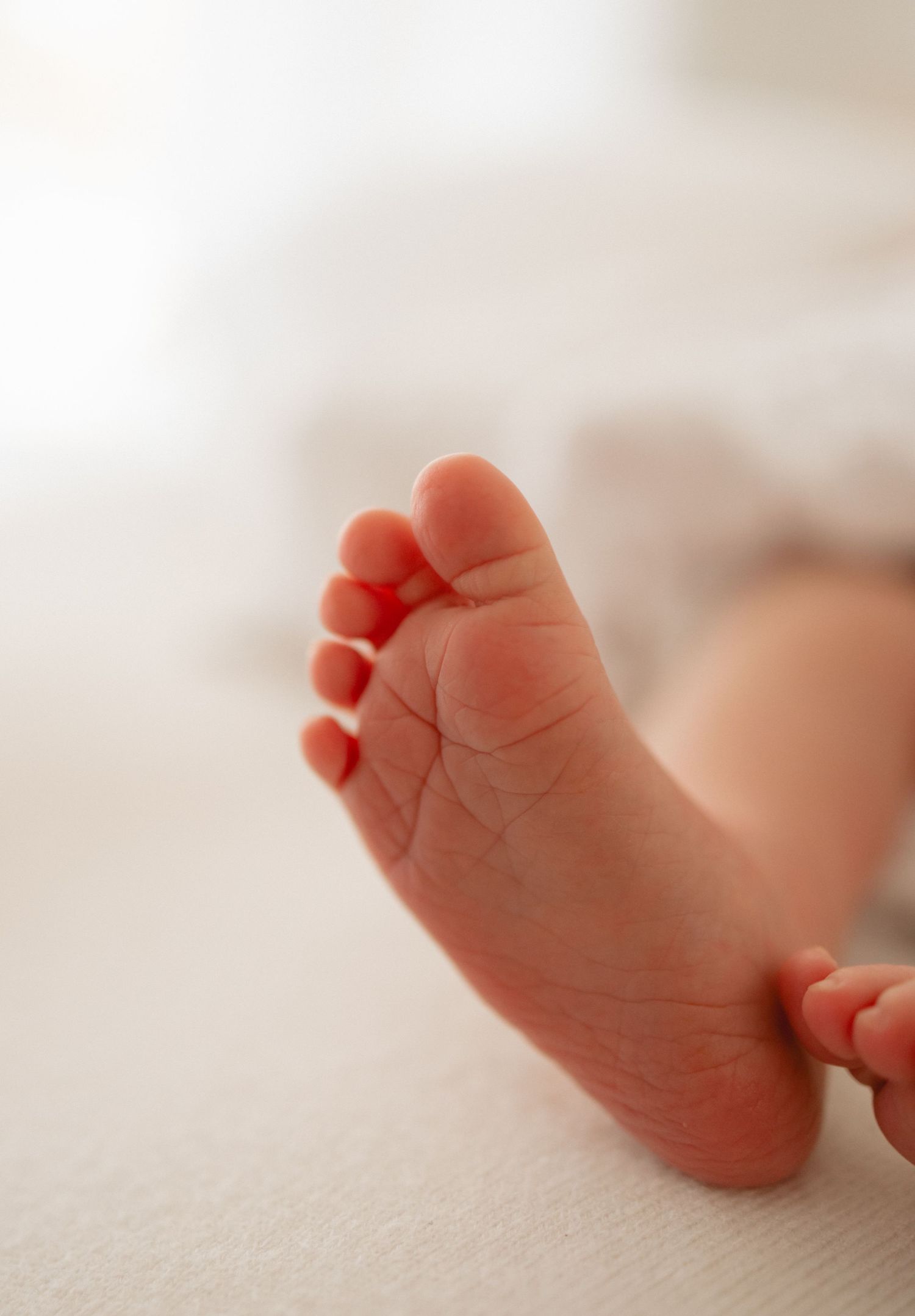 Close-up view of tiny baby feet with delicate pink toes against a soft cream-colored background.