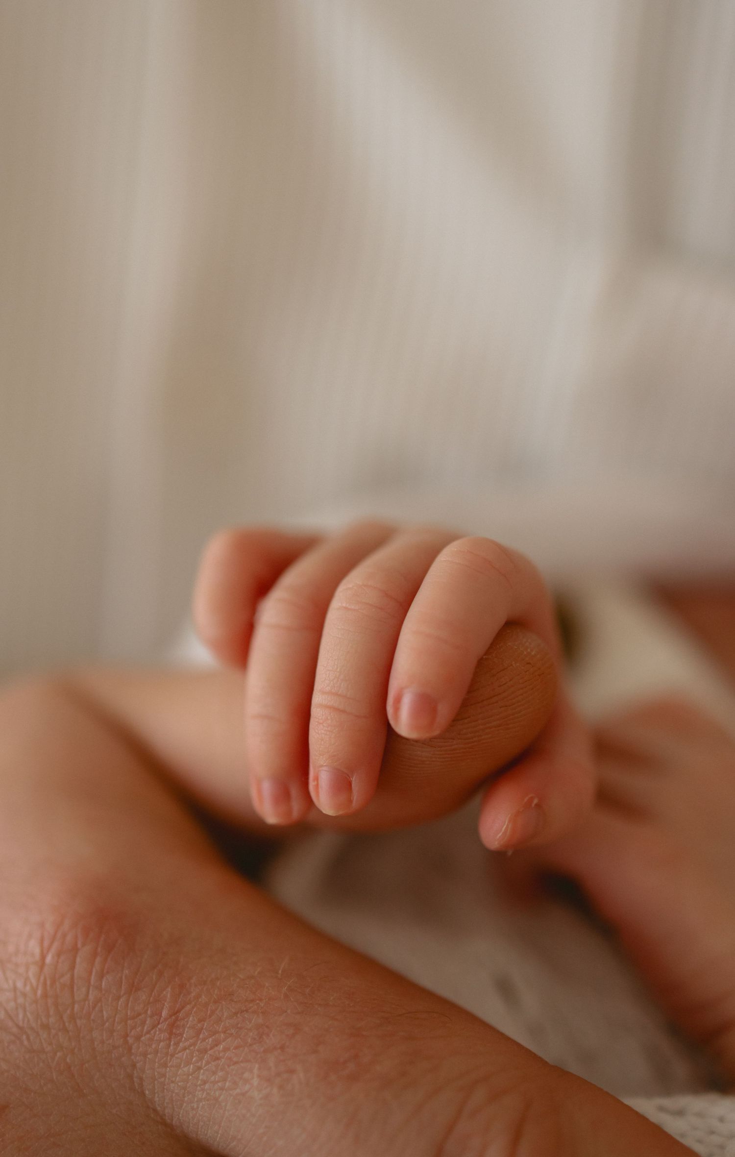 Close-up macro shot of tiny baby fingers showing delicate details and soft skin texture in natural lighting.