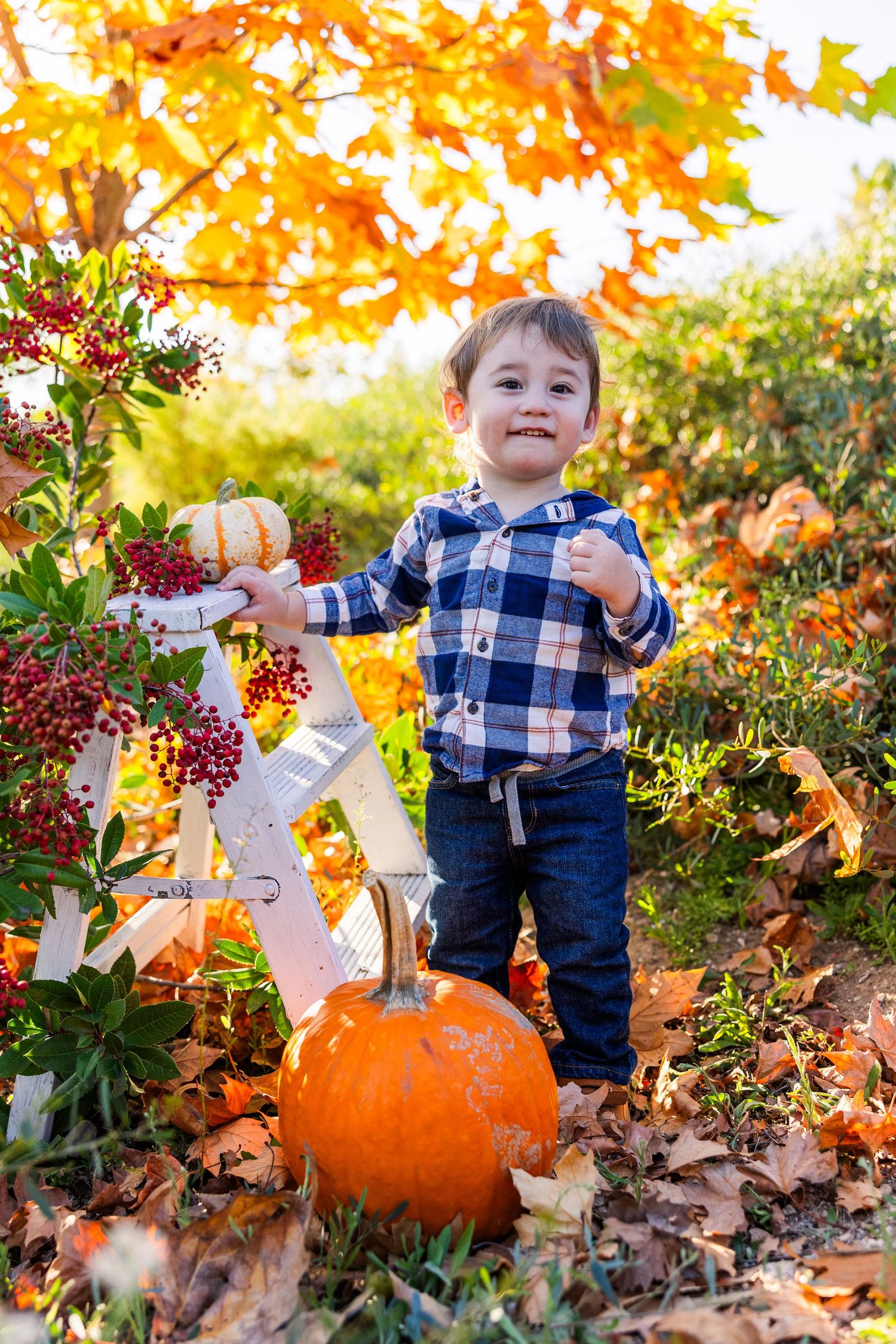 A child in plaid shirt stands in autumn foliage next to pumpkin with orange maple leaves and red berries in background in Simi Valley.