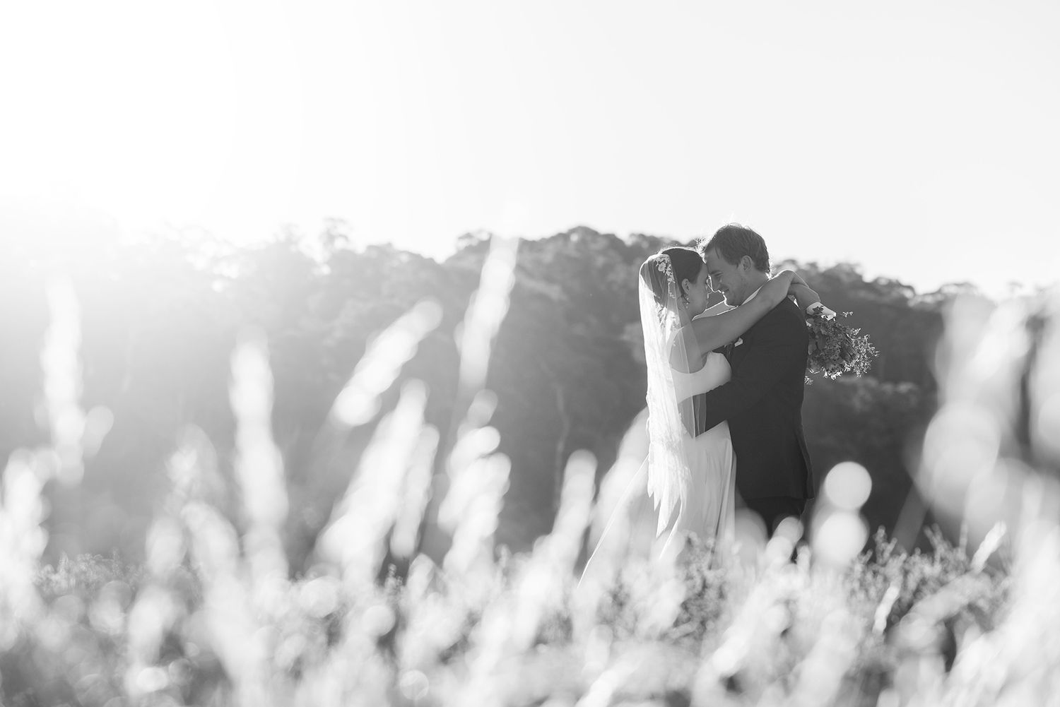 A romantic black and white silhouette of a couple embracing in a sun-lit field with tall grass in the foreground.