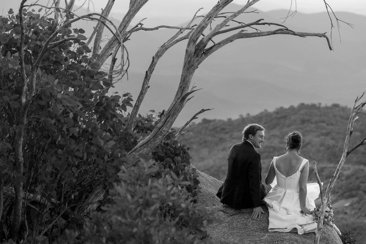 A couple sits side by side on a hillside beneath a twisted tree branch in black and white photography at the Horn Mt.Buffalo.