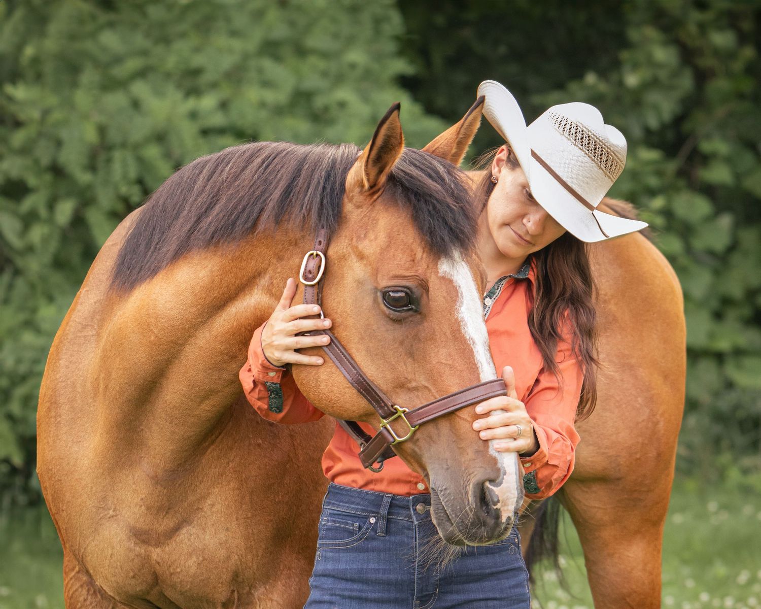 A brown horse and person share a tender nuzzling moment in an outdoor setting with lush greenery.