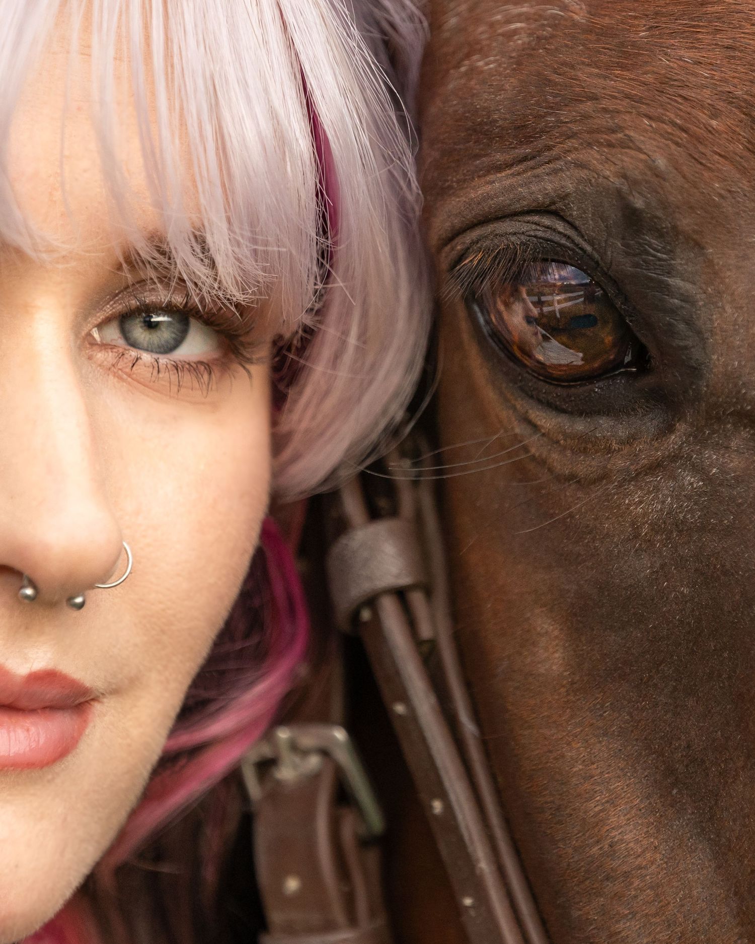 Close-up split portrait of a woman with pink hair and nose ring beside a brown horse, both eyes visible.