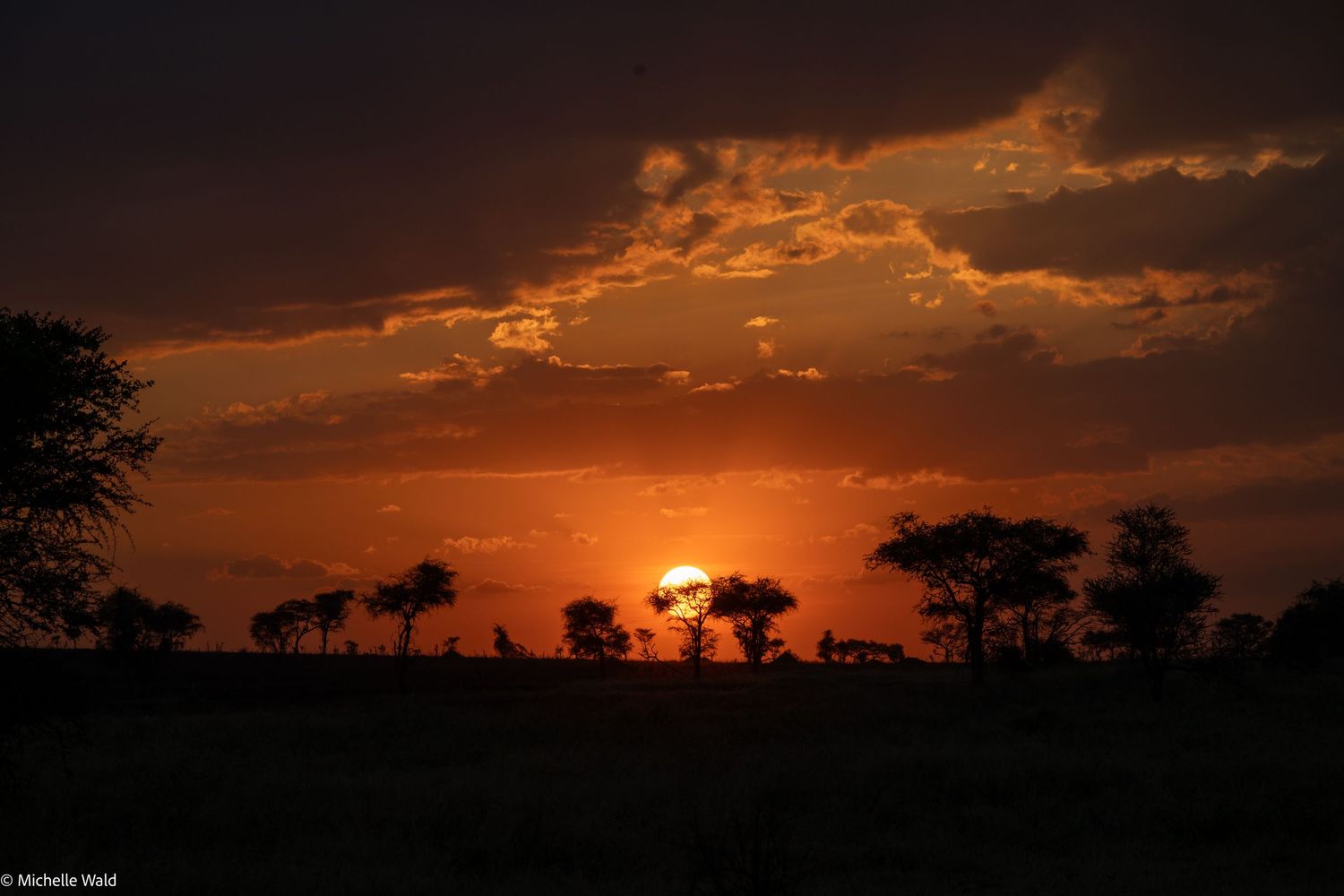 A dramatic sequence of sunset silhouettes showing the sun's progression as it descends below the horizon against an orange sky.