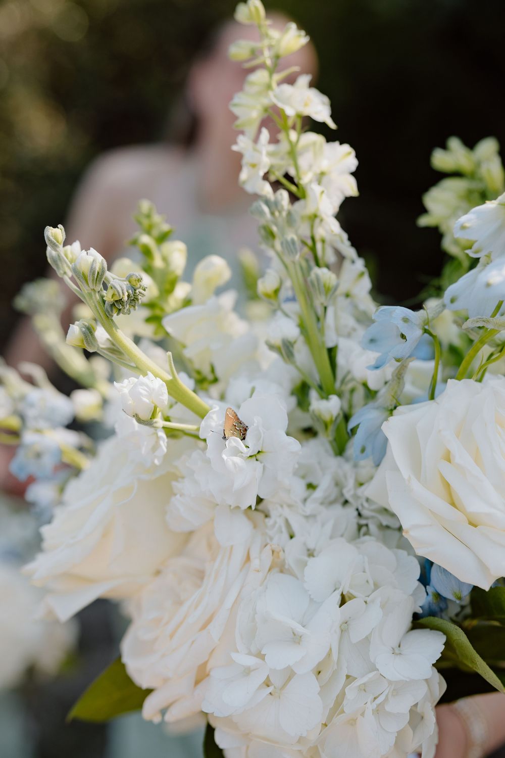 Delicate white flowers and buds arranged in an elegant bouquet with soft green foliage against a dark background.