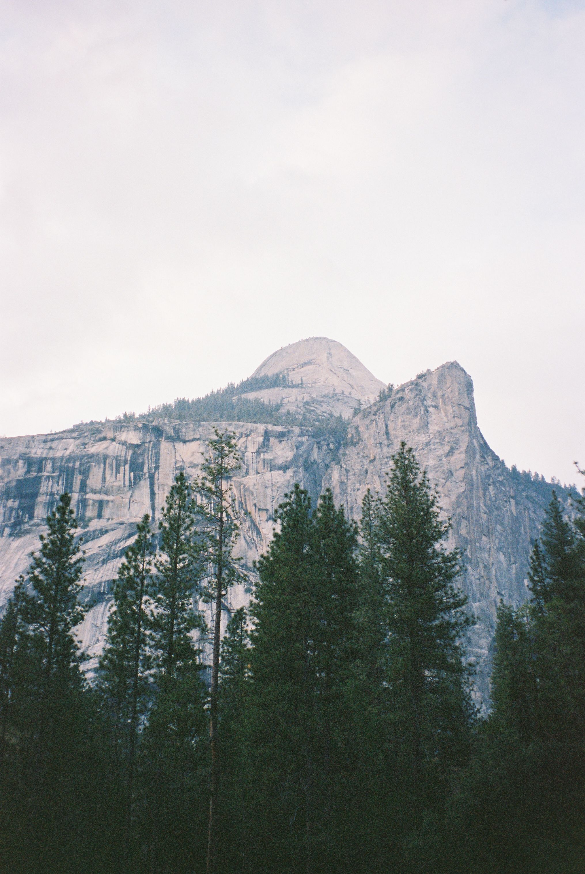 Granite peaks of Half Dome rise above pine forest in Yosemite National Park.
