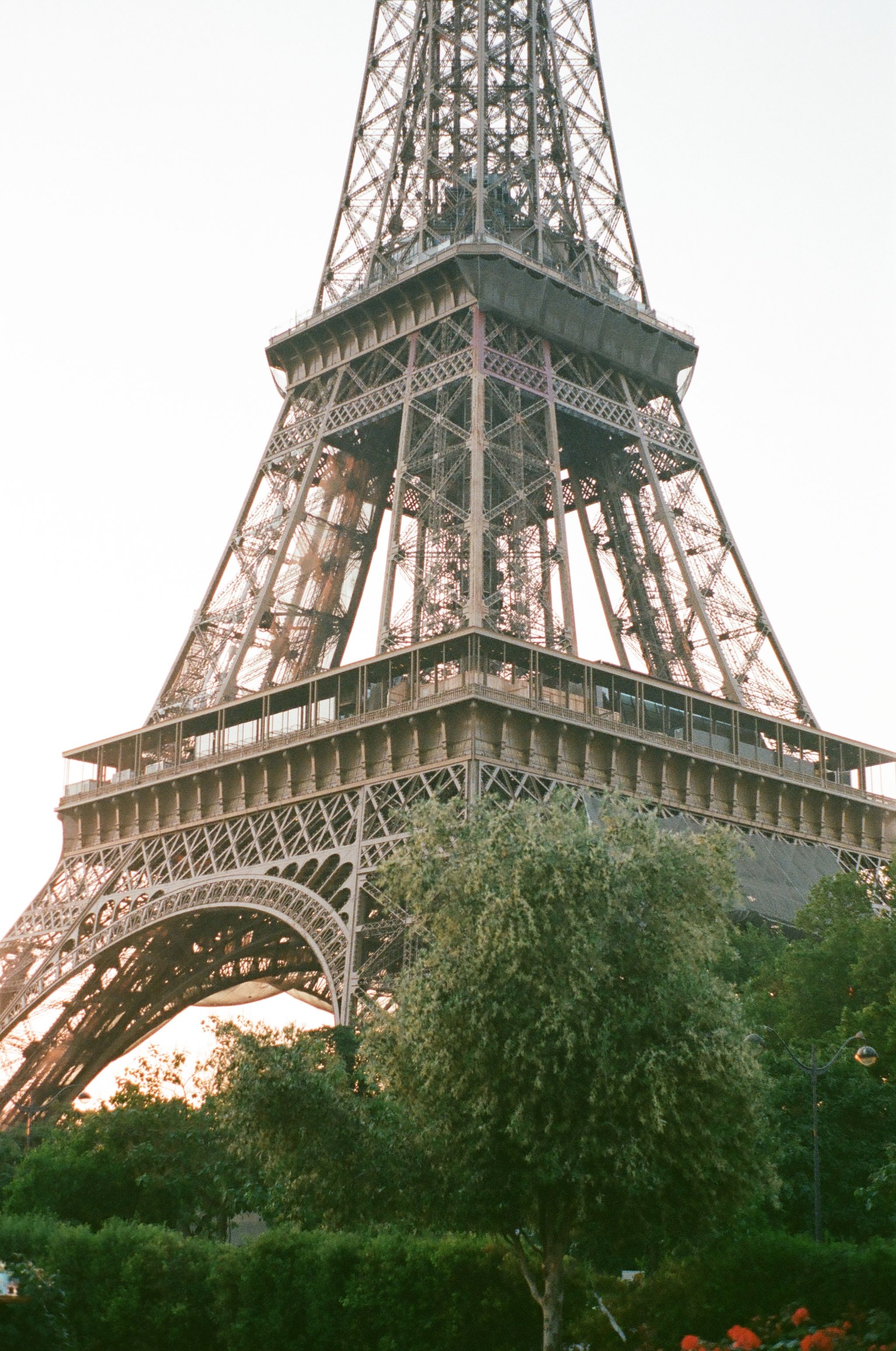 Base section of the Eiffel Tower photographed through trees at sunset.