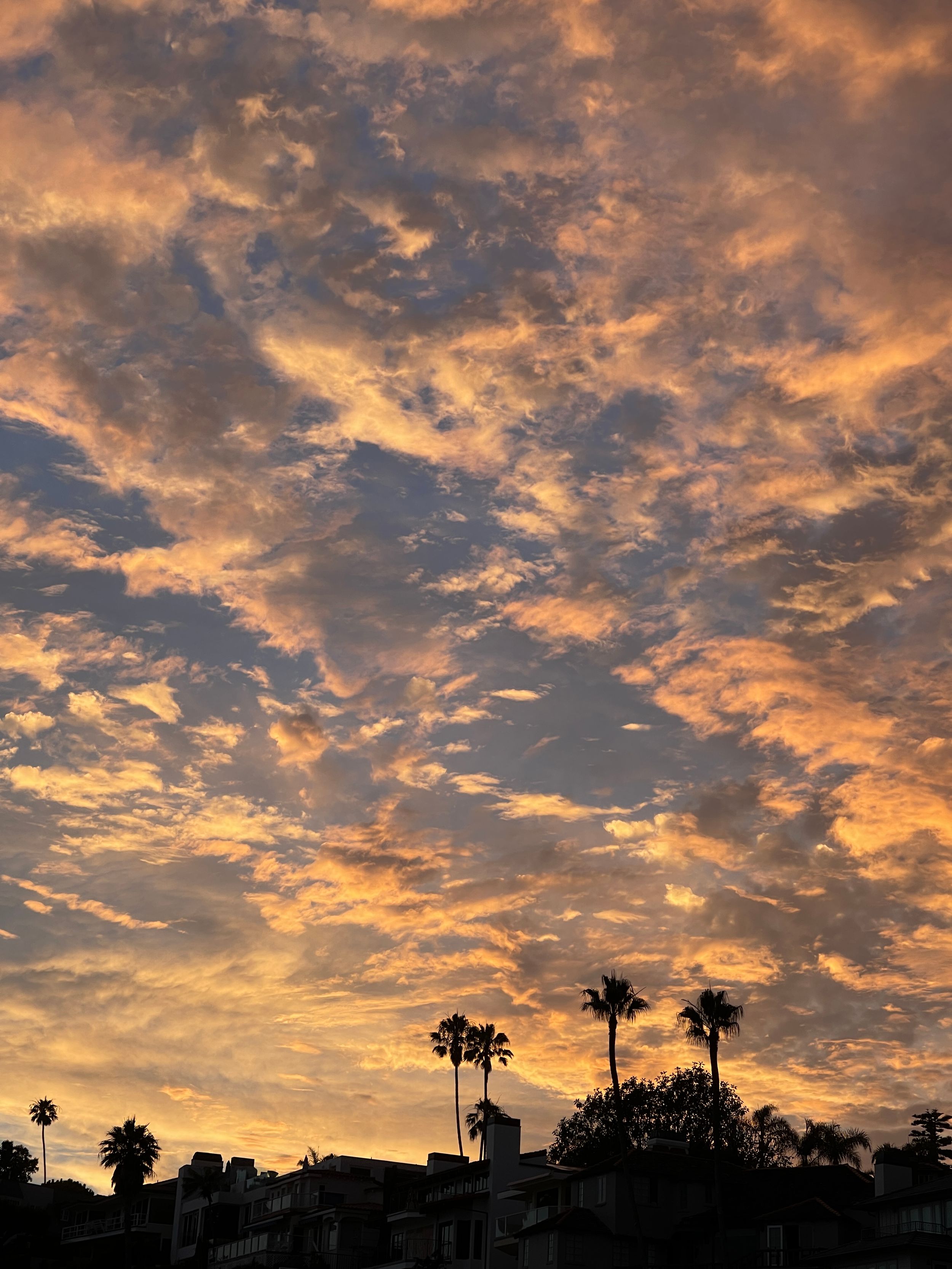 Palm trees silhouetted against a dramatic orange sunset sky with scattered clouds.