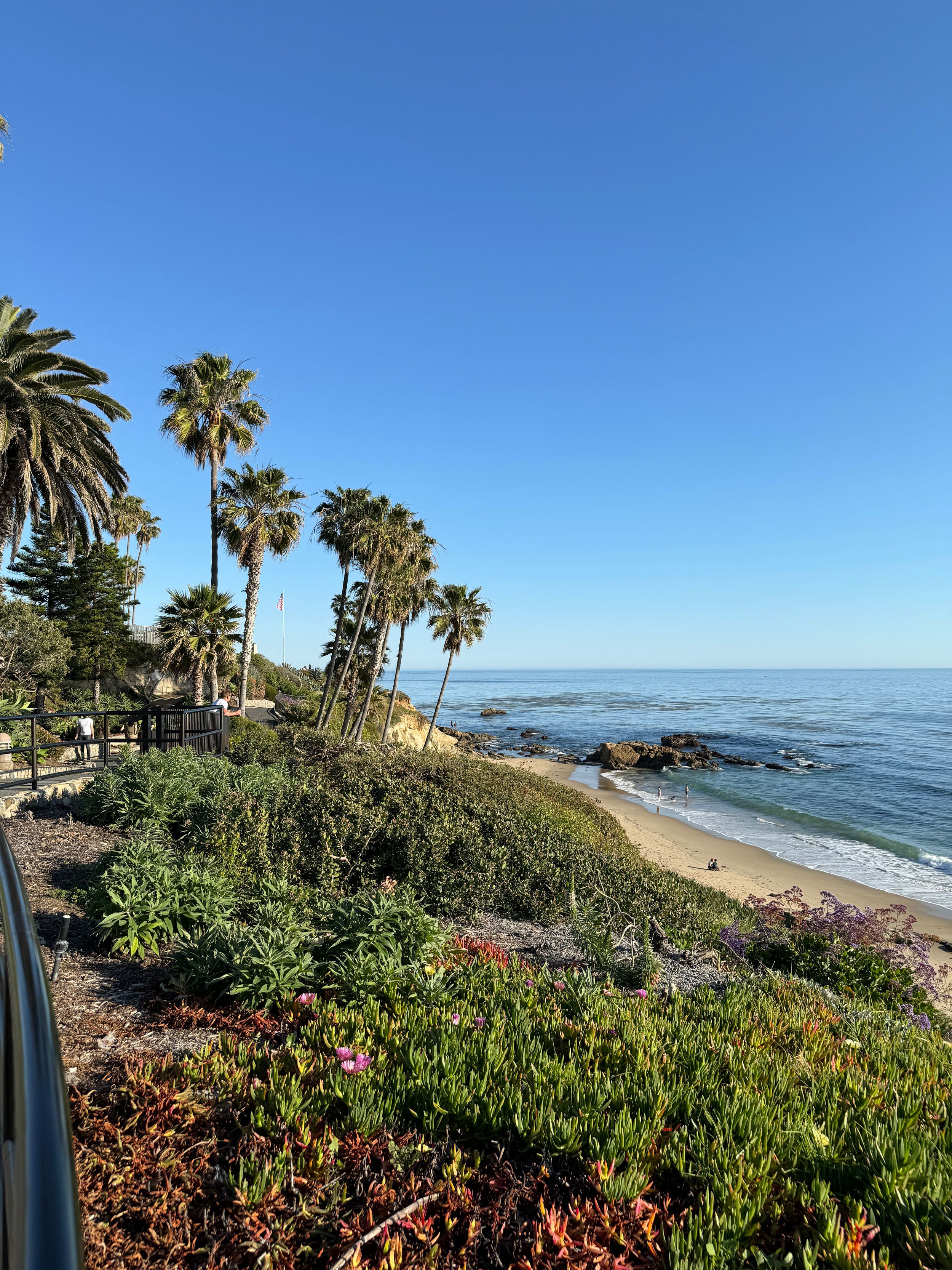Palm trees line a coastal pathway overlooking a rocky beach and blue ocean waters.