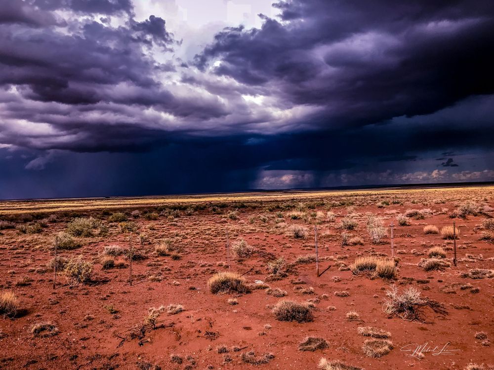 Dark storm clouds loom over a red desert plain with scattered vegetation.