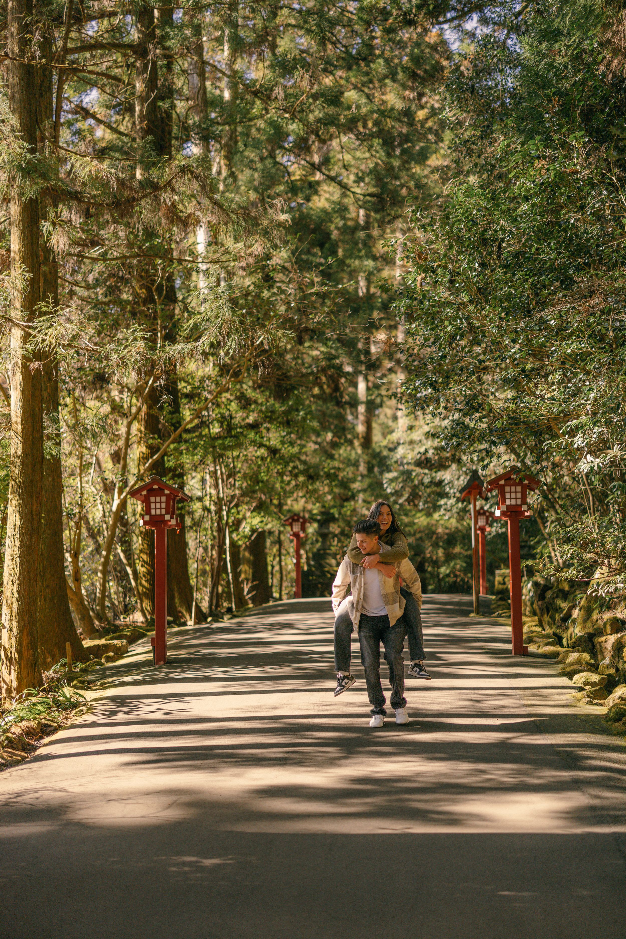 Traditional path through a Japanese forest with red lanterns and stone decorations lined along the shaded walkway at Hakone Shrine