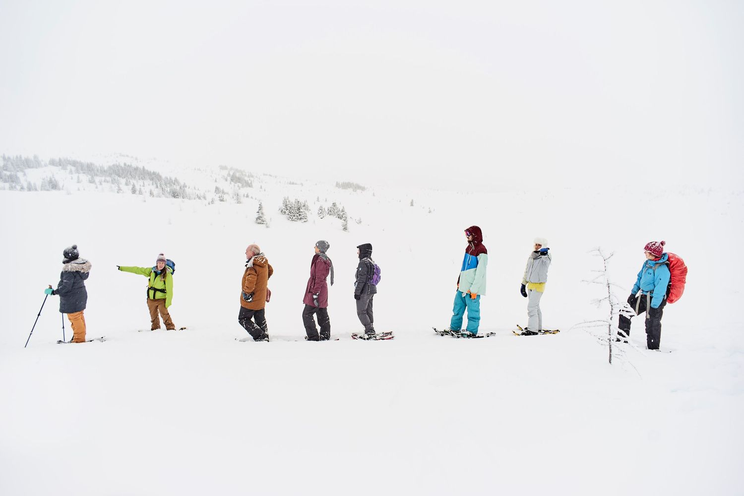 A line of skiers, snowboarders, and snowshoers standing in snowy winter conditions on a mountain slope on an adventure portrait session.