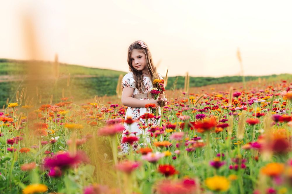 A dreamy outdoor scene in a vibrant poppy field with blooming flowers under a warm sunset sky.