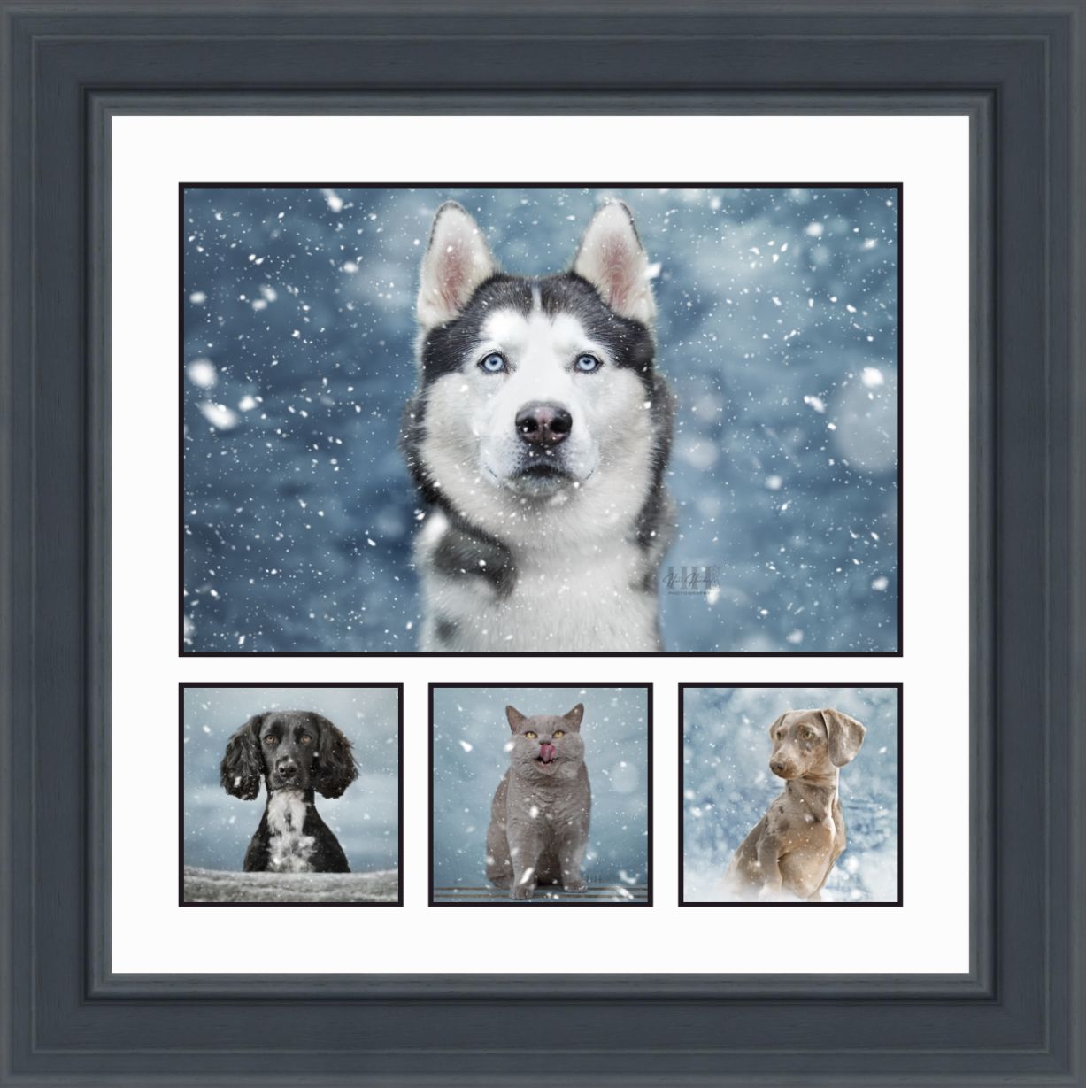 Winter-themed pet photography collage featuring dogs and cats in snowy scenes.