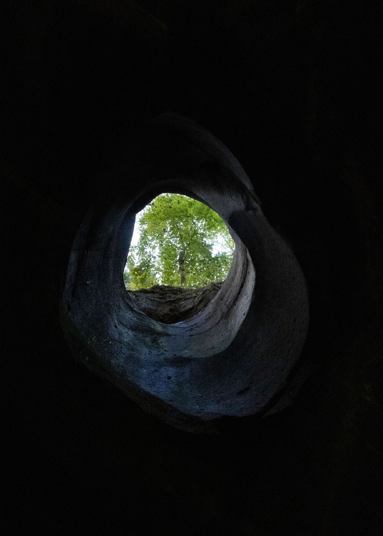 Looking up through a circular cave opening to see green trees and sky above.