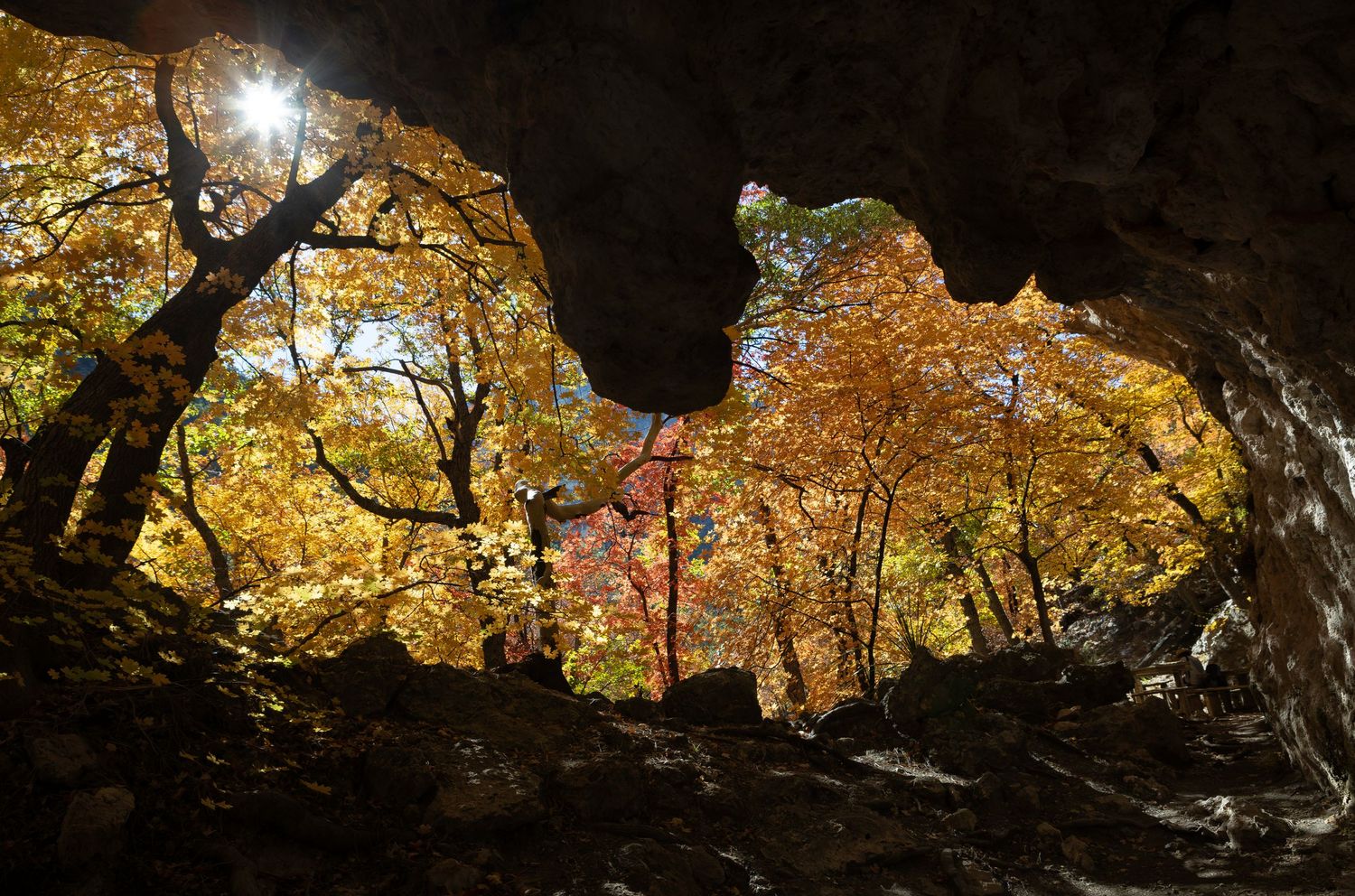 View from inside cave opening framing golden fall foliage and sunlight.
