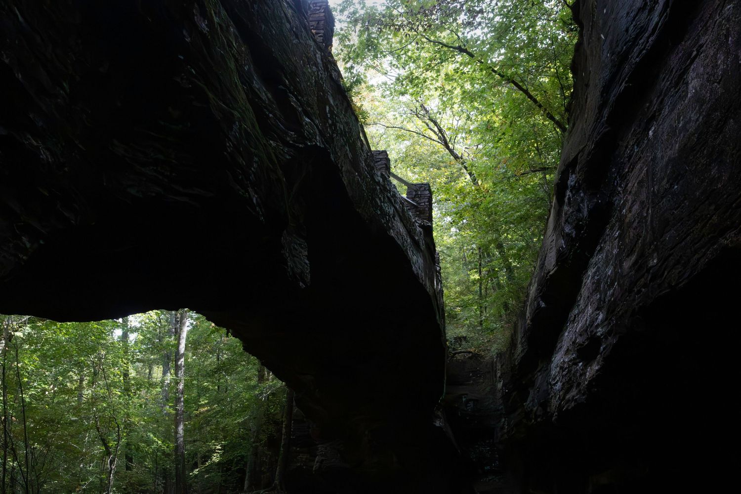Natural rock arch formation in dense forest with sunlight filtering through trees.
