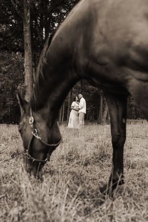 Black horse grazing in foreground while couple embraces in wooded background, creating romantic sepia-toned composition.