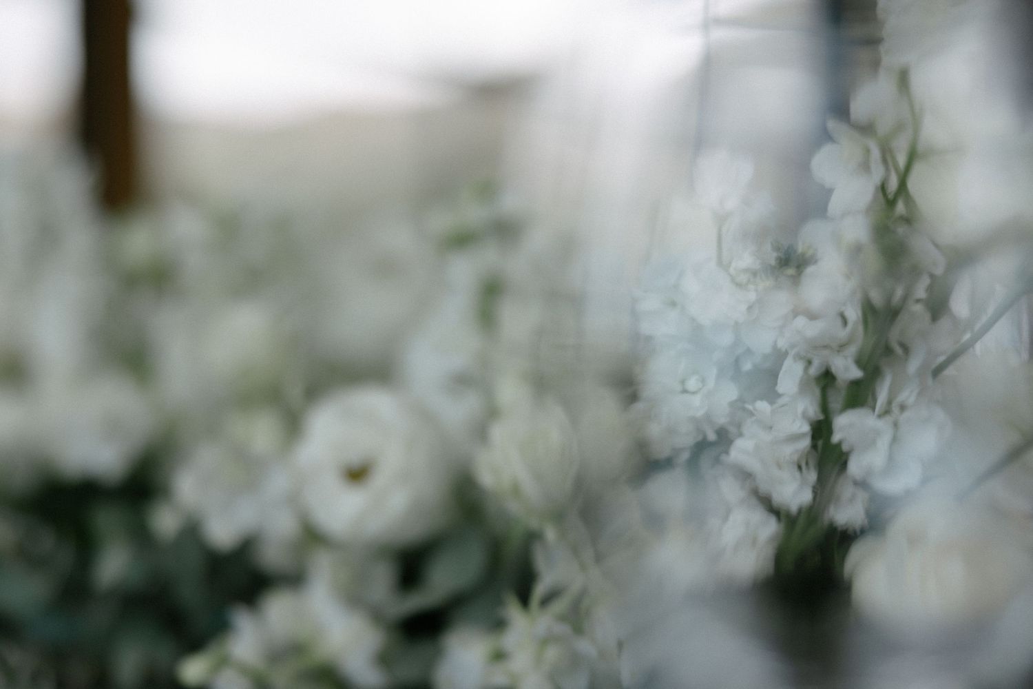 Chanel and Wynanad at De Zeven wedding photos capturing authentic celebrations and beautiful portraits with Christene de Coning Photography.