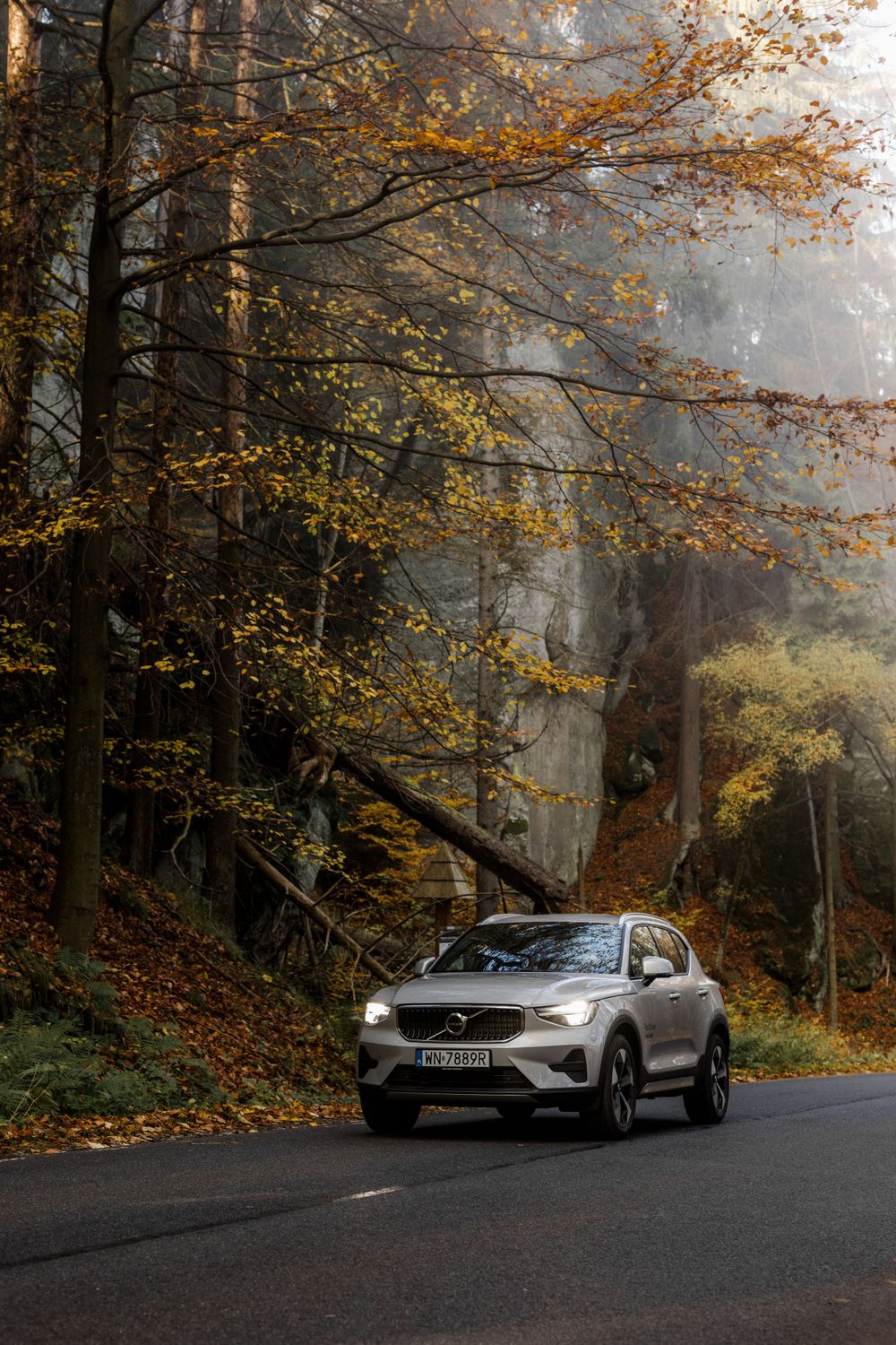 Samochód Volvo jadący malowniczą drogą w środku lasu.
Volvo car driving along a scenic road in the middle of the forest.