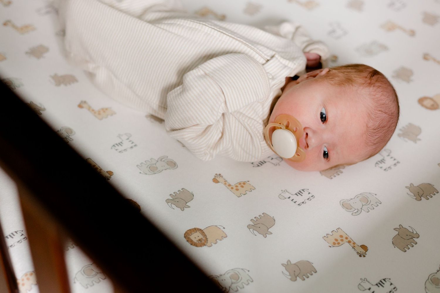Newborn baby with a pacifier swaddled in white lying in a dark wood crib with an animal print sheet.