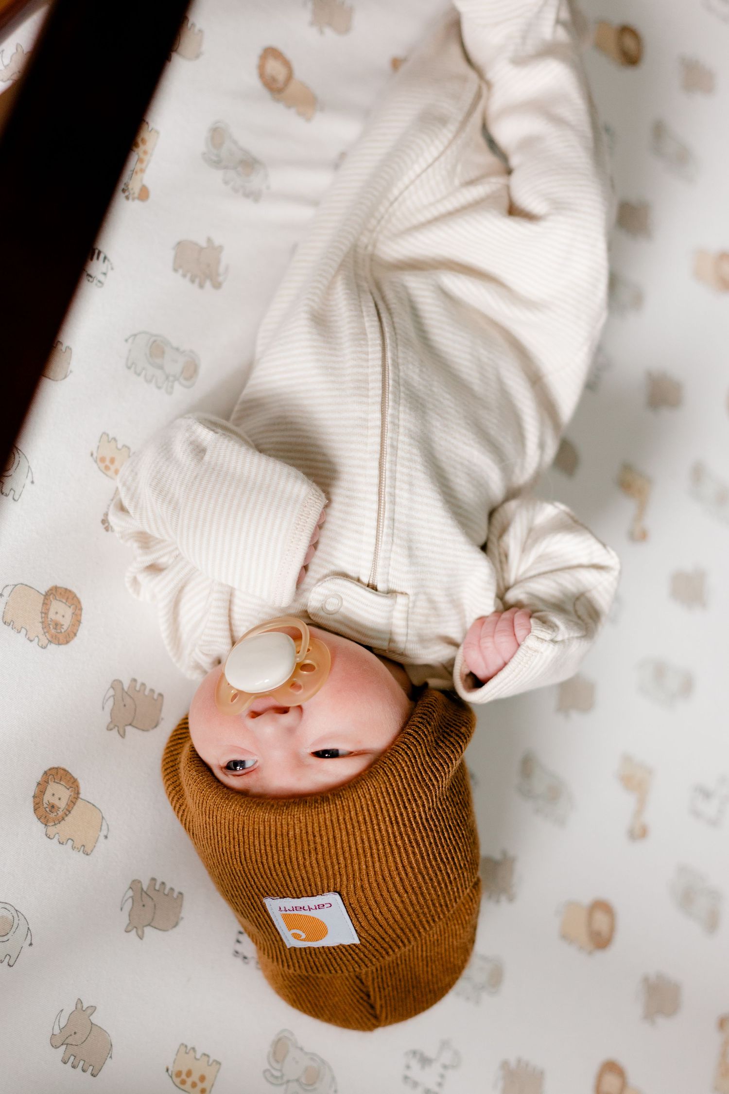 Newborn baby in white striped onesie and brown knit hat with pacifier lying in animal-print crib.