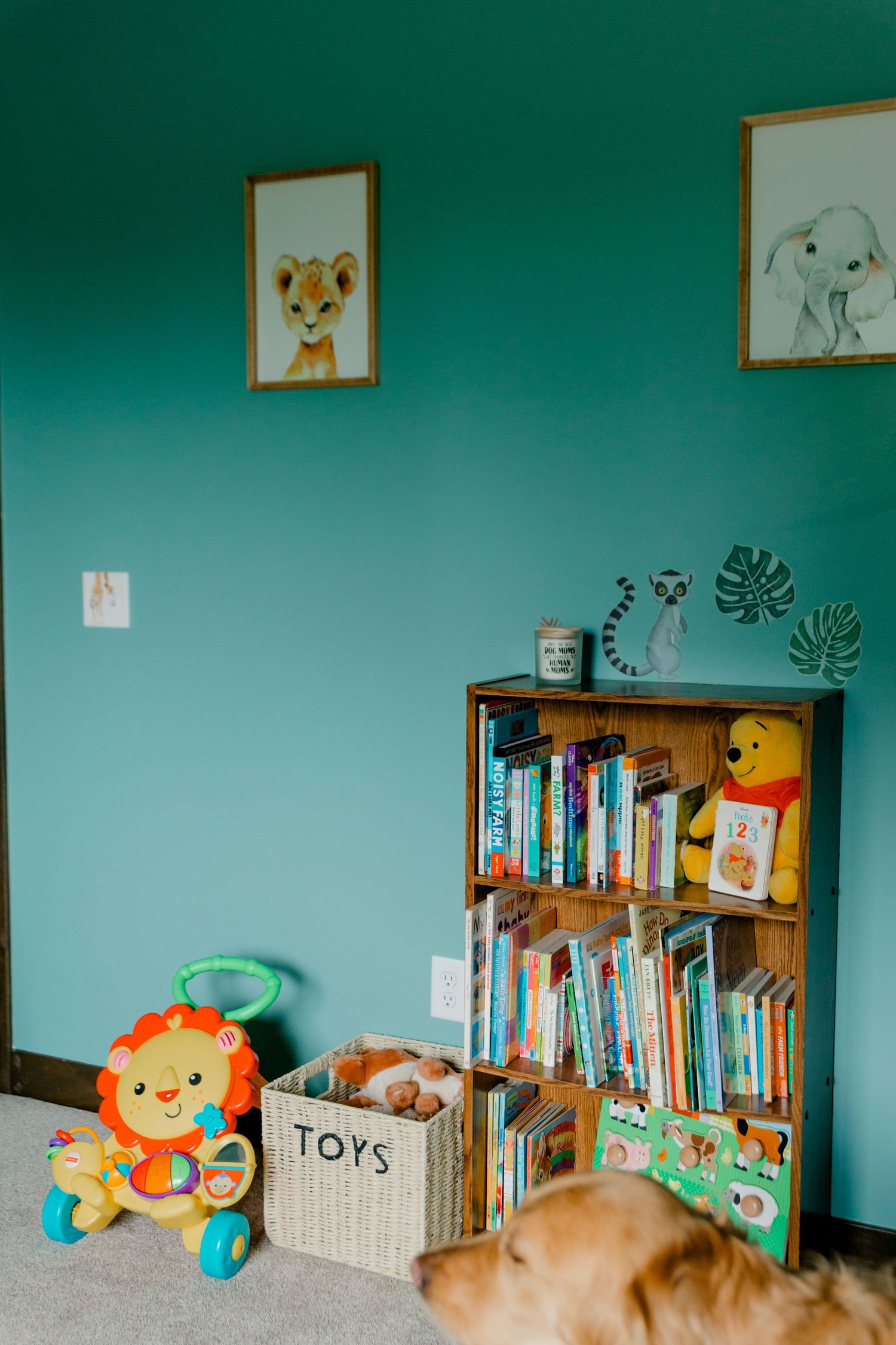 Safari-themed teal nursery with lion artwork, bookshelf full of books, and colorful toys on carpet.