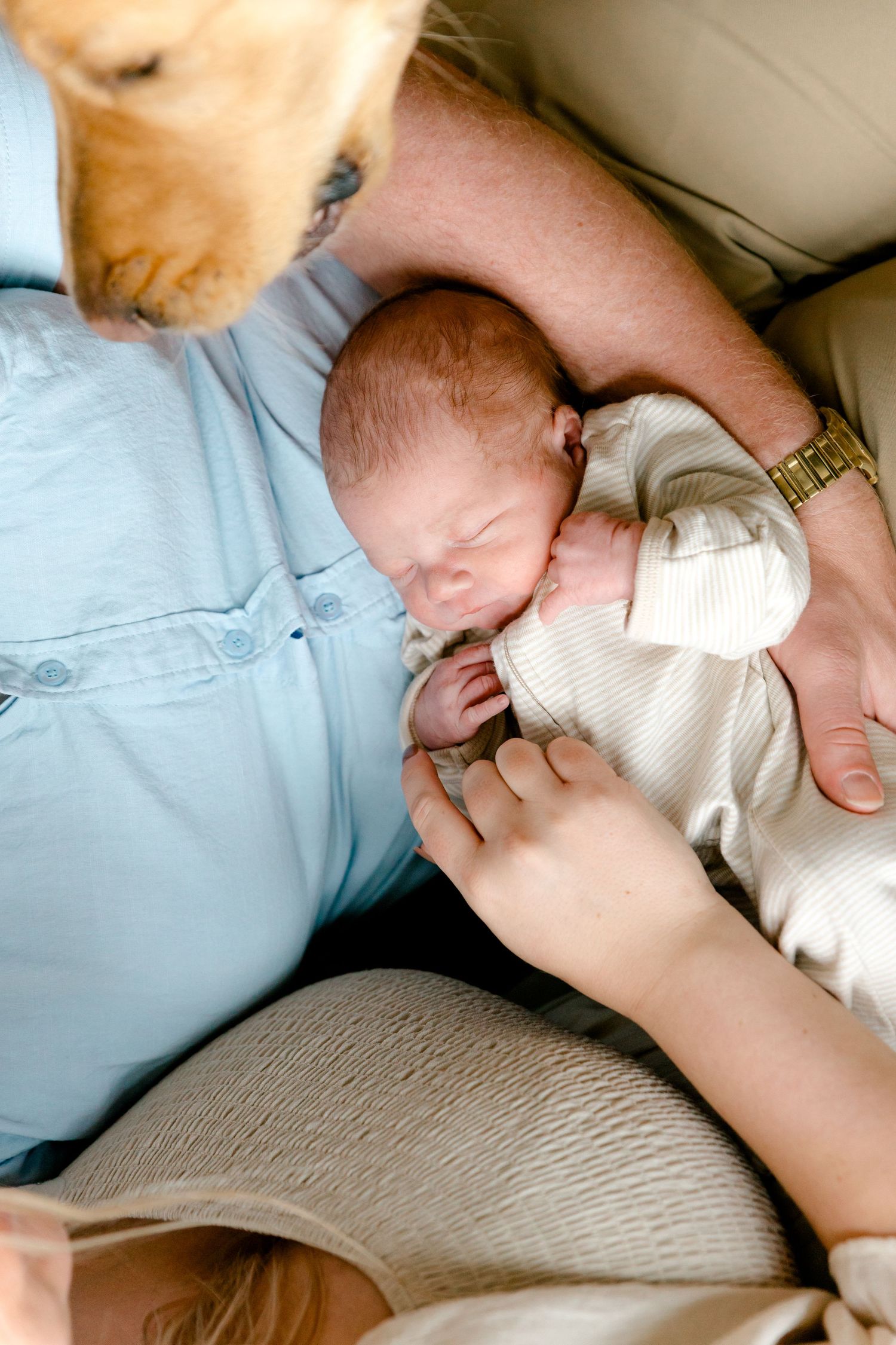 Overhead view of father holding newborn baby with golden retriever nearby.