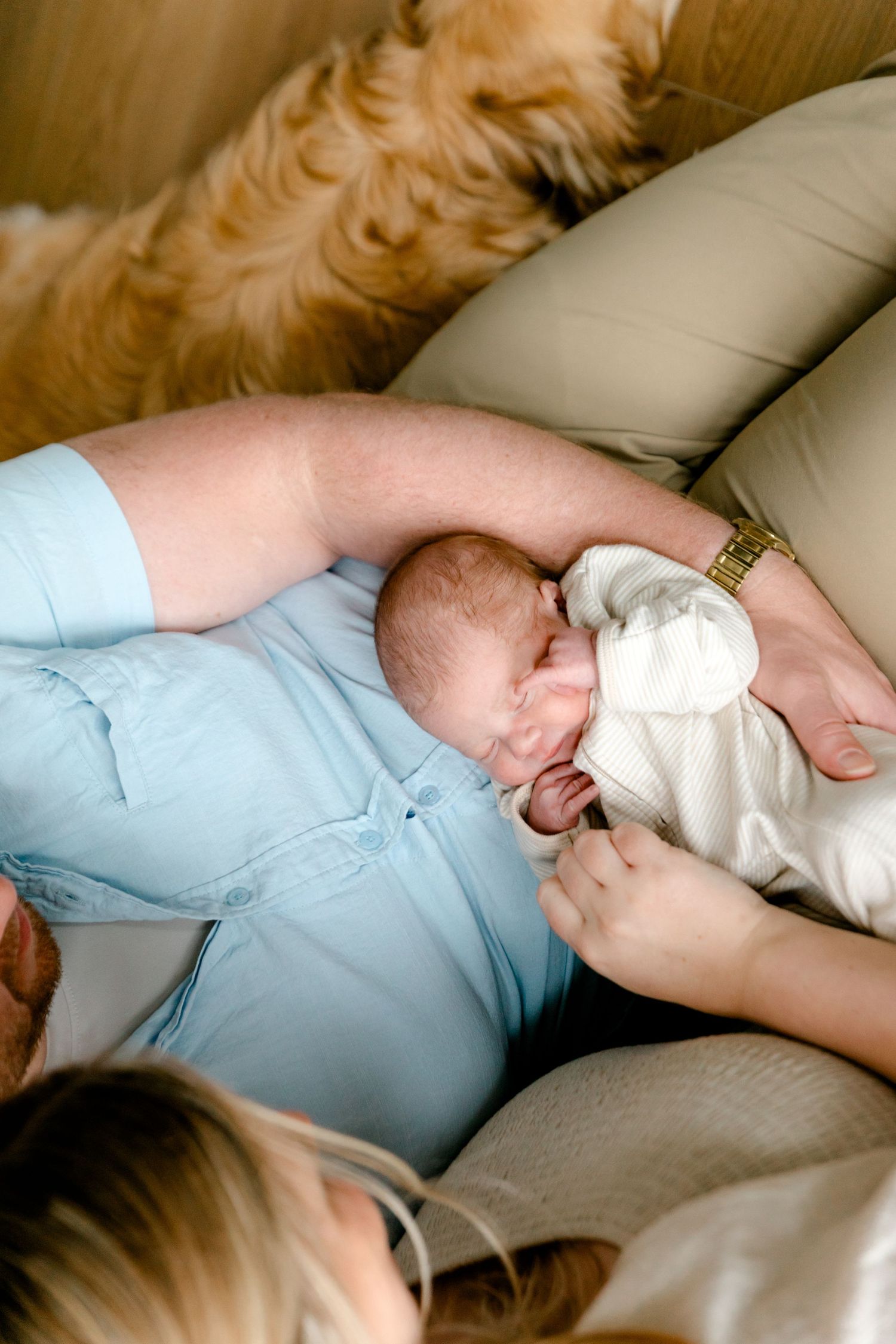 Overhead view of father cradling newborn baby on couch with golden retriever.