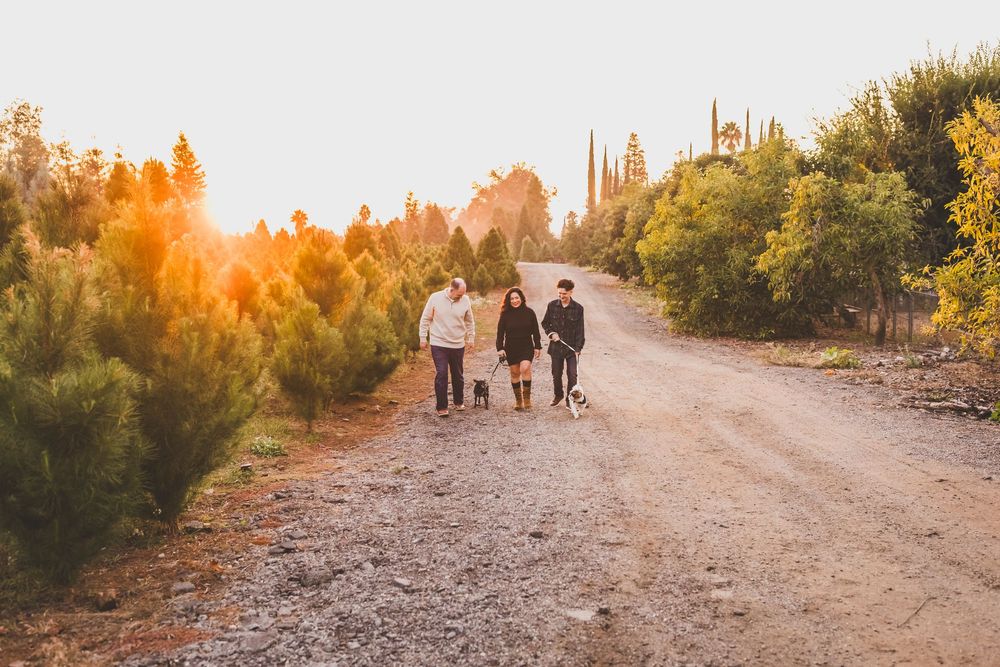 Family walking together on a desert trail during golden hour sunset with saguaro cacti in the background.