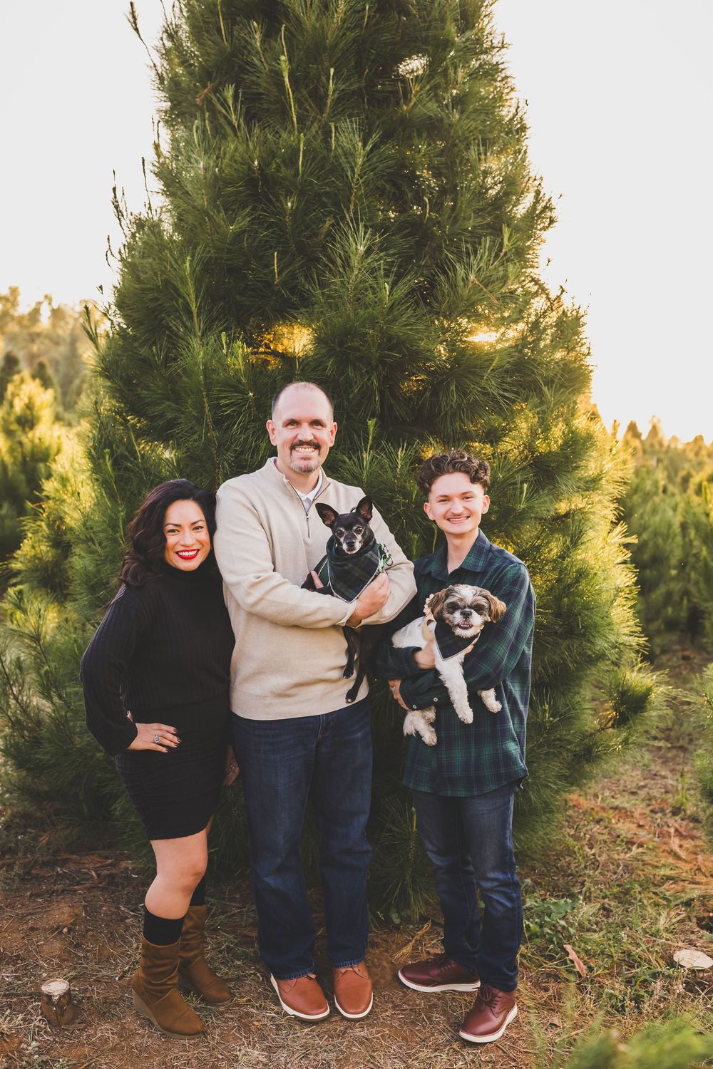 Group poses with their dogs in front of evergreen trees during golden hour outdoor photo session.