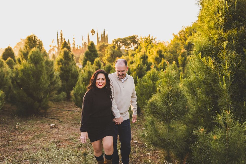 Evergreen trees line a path in a forest during golden hour with sunlight filtering through branches.