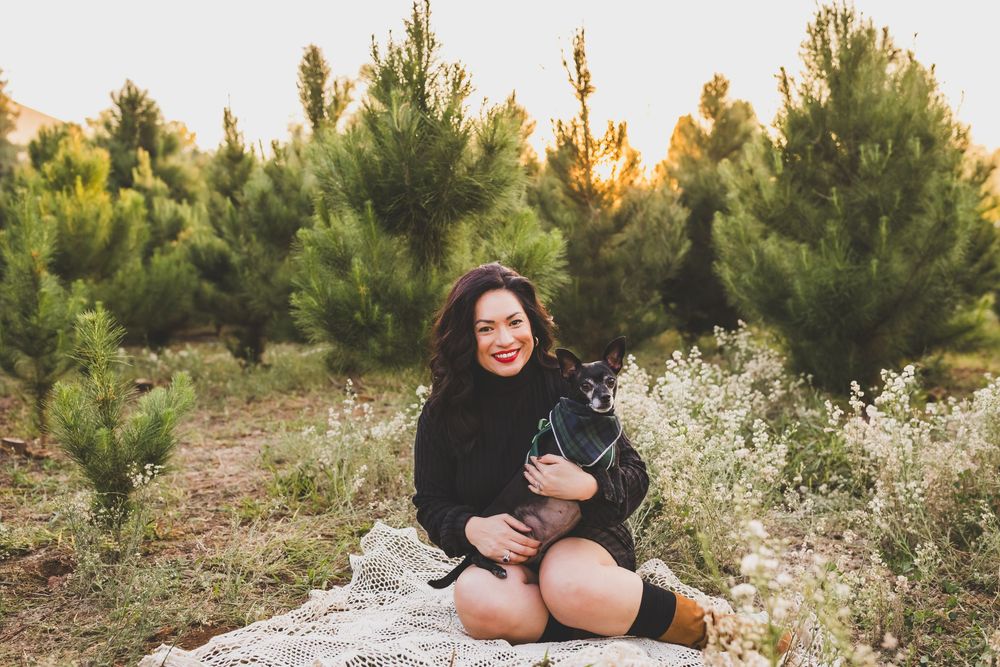 Pine trees and natural vegetation in a scenic outdoor setting during sunset with warm lighting.