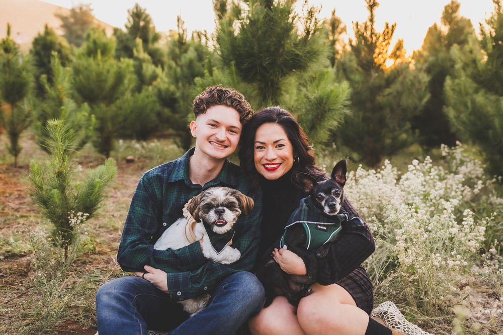 A couple and their two dogs pose together among blooming wildflowers and pine trees.