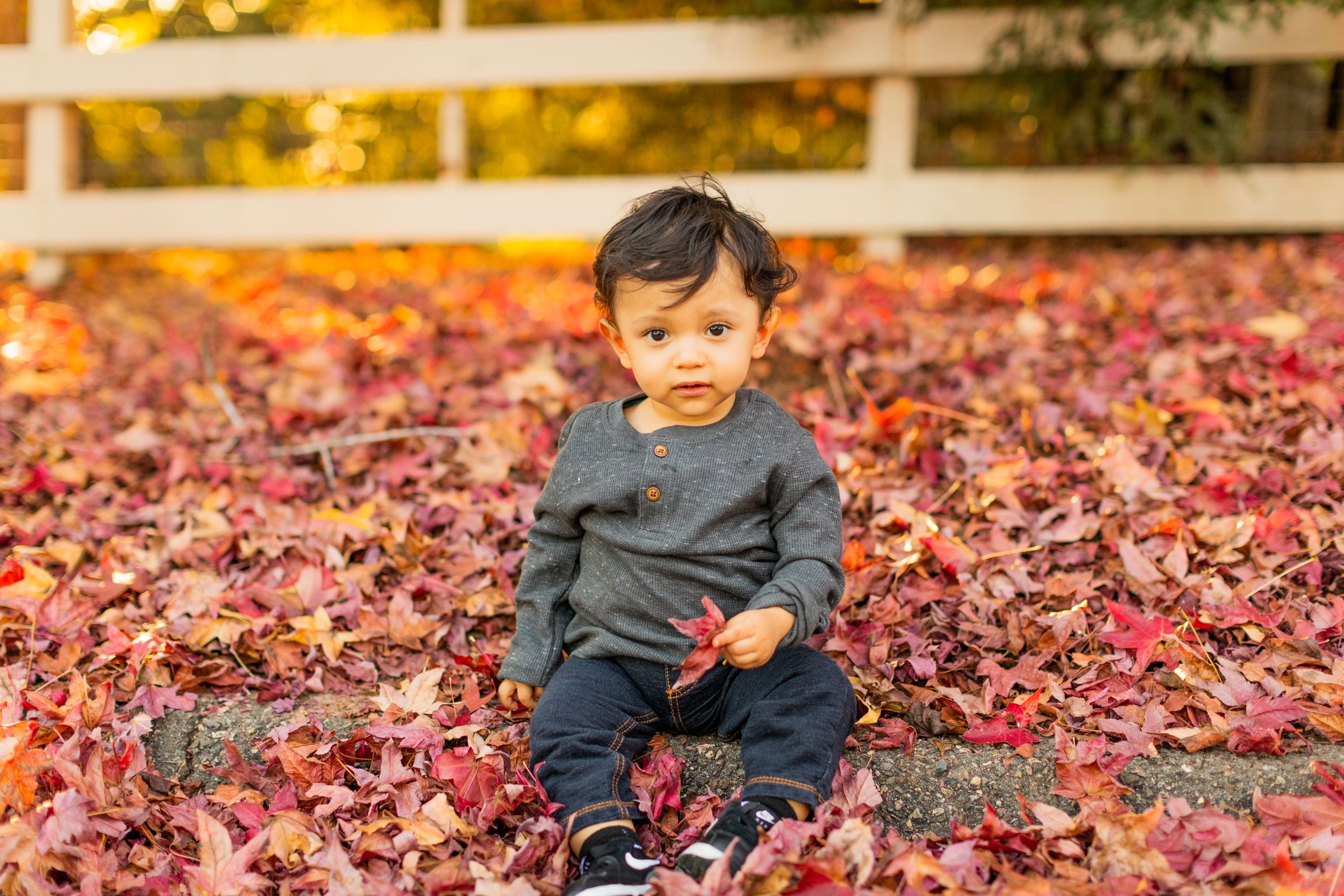 Small child sitting among red fallen autumn leaves wearing navy blue clothing.