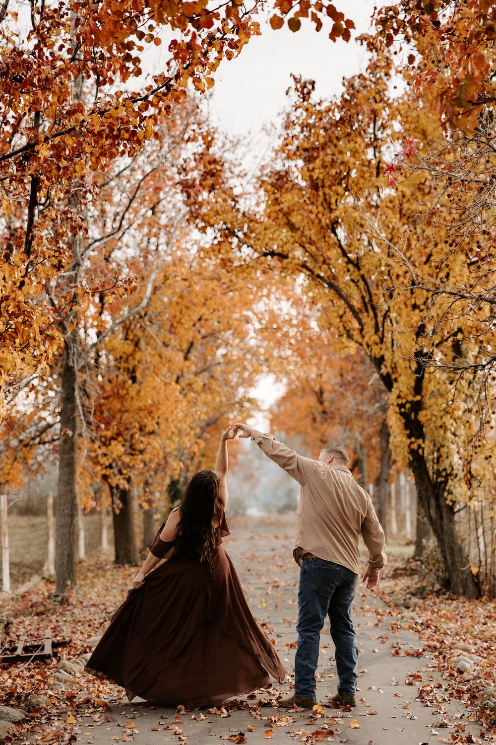 Autumn forest path with golden leaves and trees creating a romantic seasonal atmosphere.